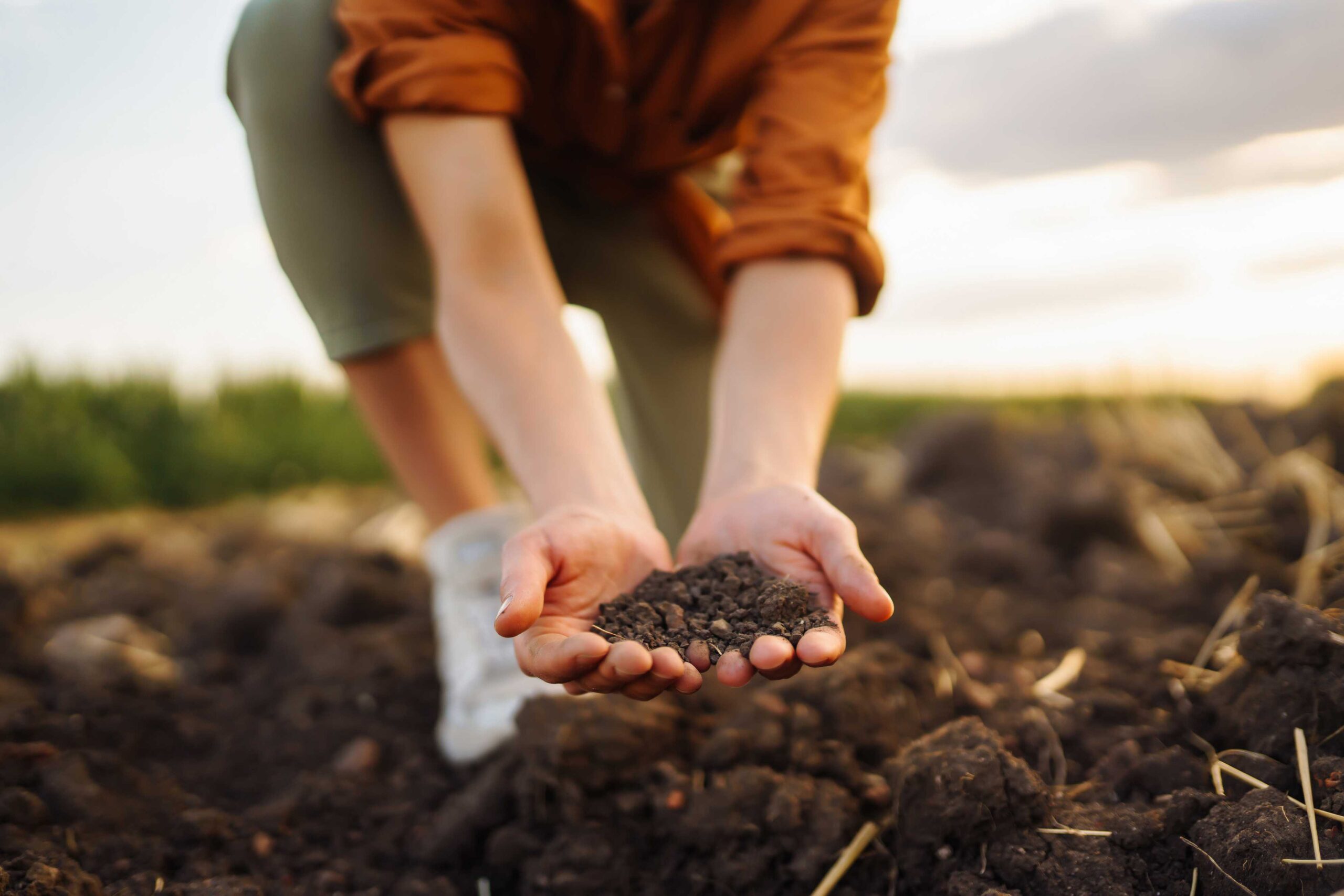 organic npk fertilizer